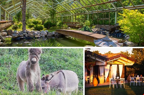 Reizen in de natuur: van duurzame overnachtingen tot wandel- en fietsvakanties